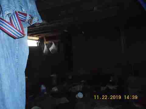 9226 Forrer (50)_m.jpg